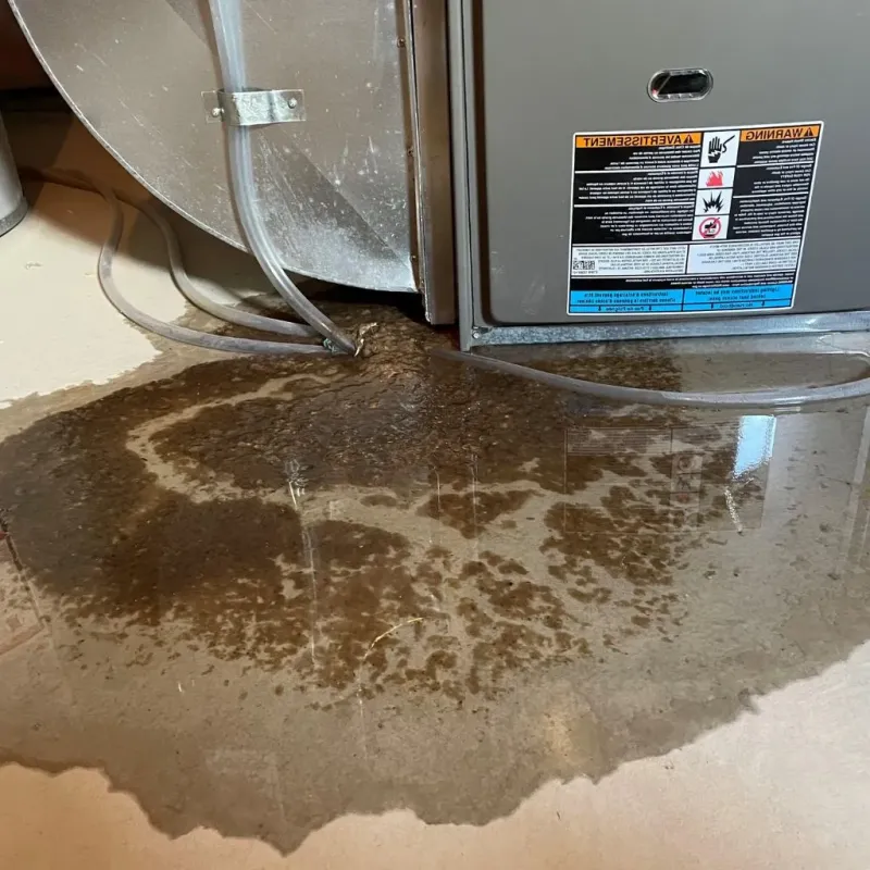Pipe Burst and Leak Restoration in Park County, MT